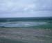 Golden021